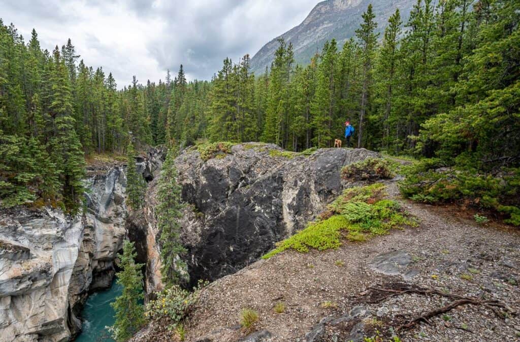 Coral Creek Canyon Hike near Abraham Lake | Hike Bike Travel