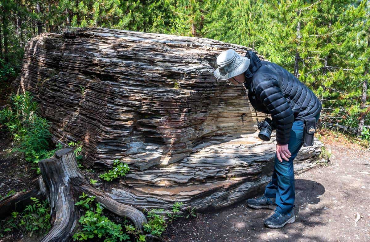 Stopping to check out the rocks beside the Marble Canyon trail