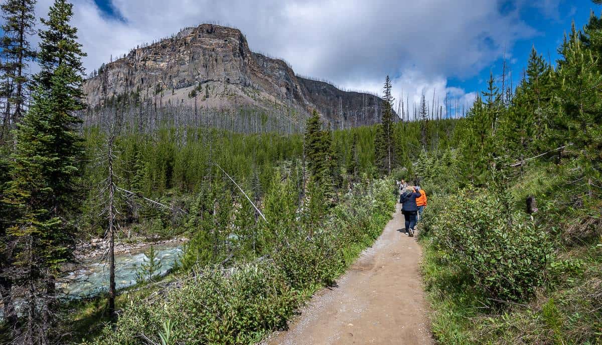 The hike up towards Marble Canyon beside Tokumm Creek