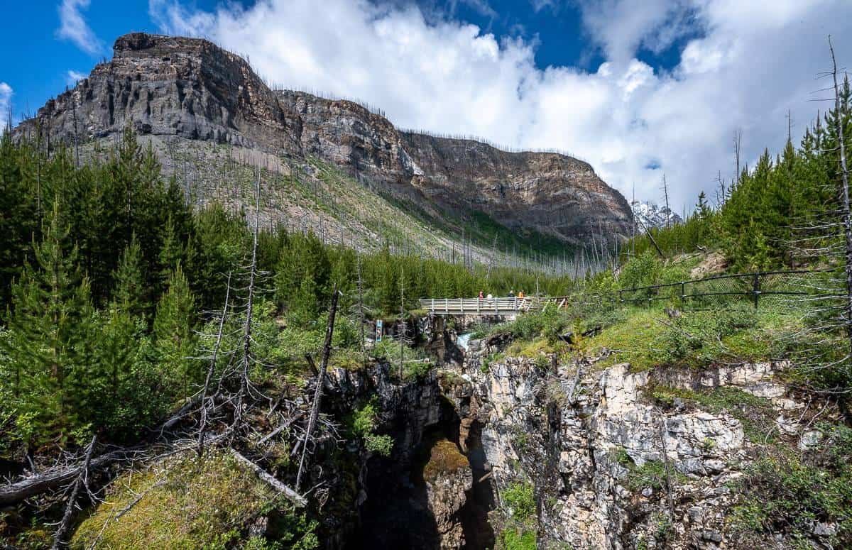 Looking up Marble Canyon