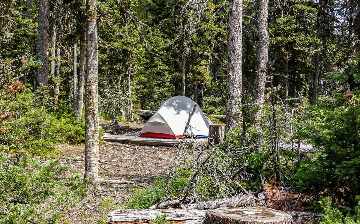 The Forks campground got a complete makeover in summer 2022 so you'll now find lots of wooden tent pads