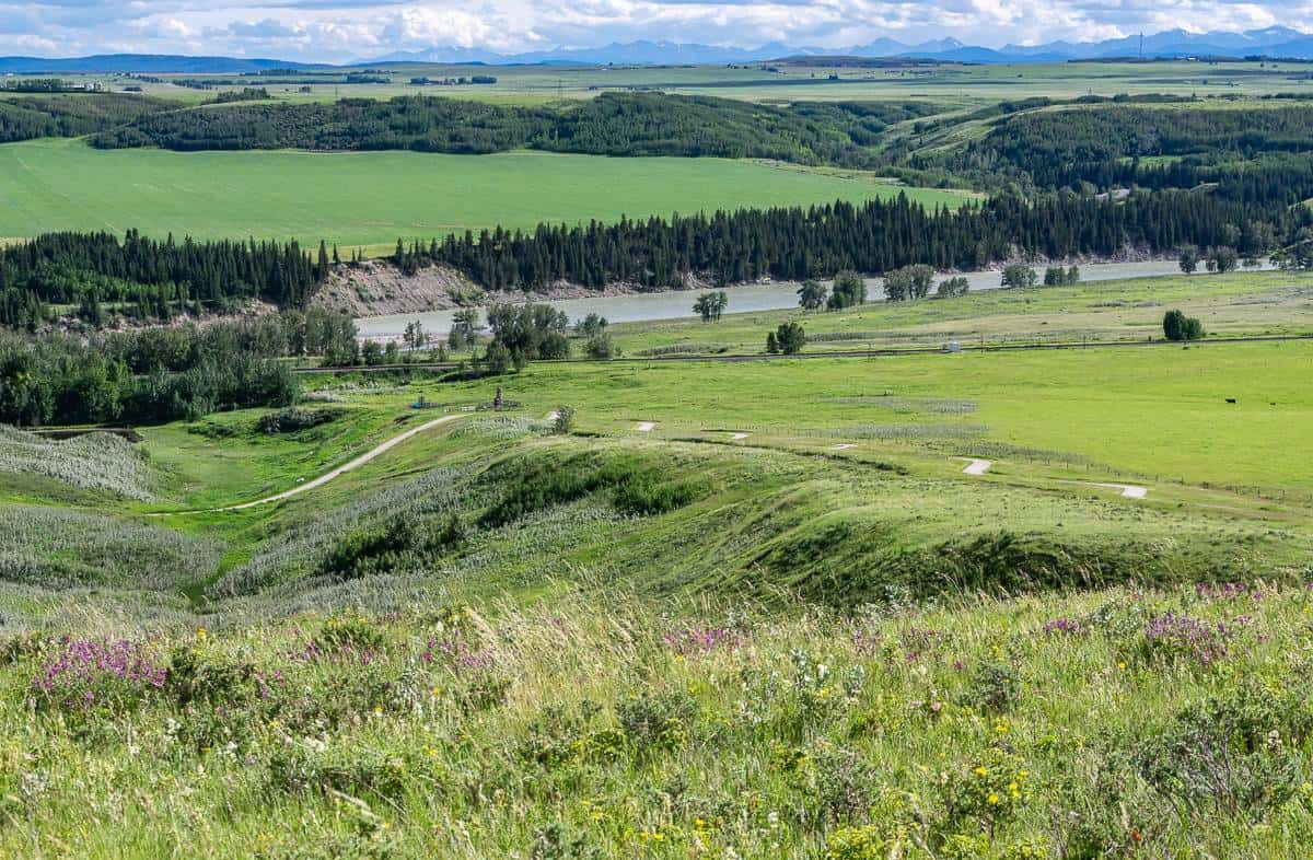 Glenbow Ranch is a very green place to go for a walk in the spring and summer