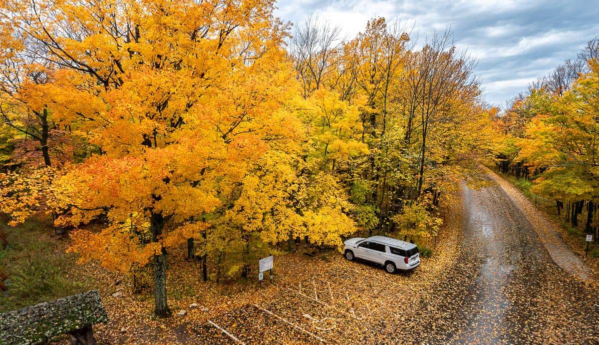 One of the views from Eagle Tower in Door County during prime fall colours