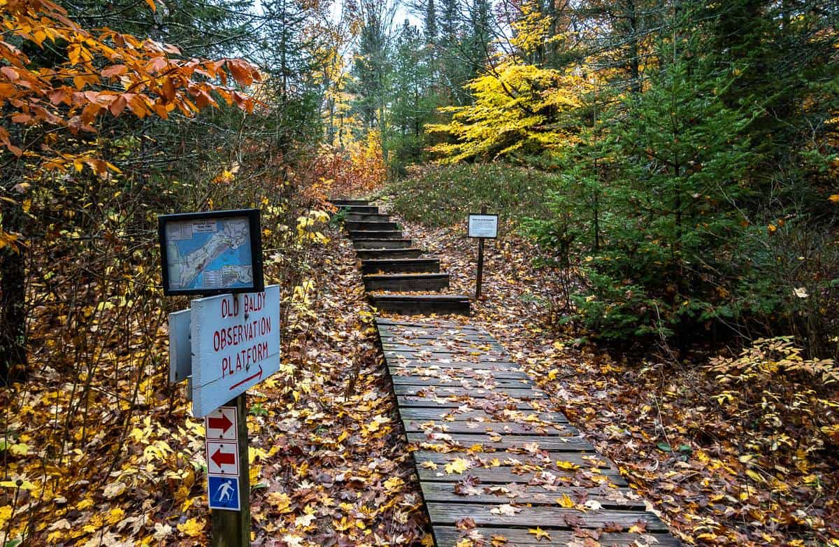 Its a pretty walk in fall in Door County on the way to the highest sand dune in Whitefish Dunes State Park