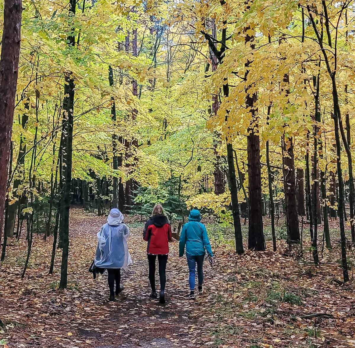 You cant write-up the Sentinel Trail for a gorgeous Door County fall hike