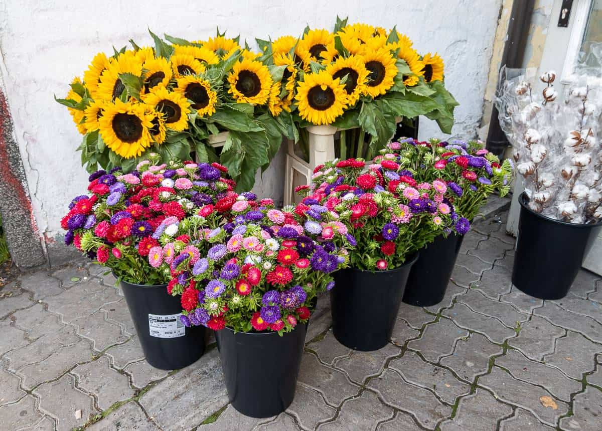 Fresh flowers for sale in Balti Jaama Turg