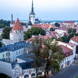 Looking out over the red roofs of Tallinn in the evening light