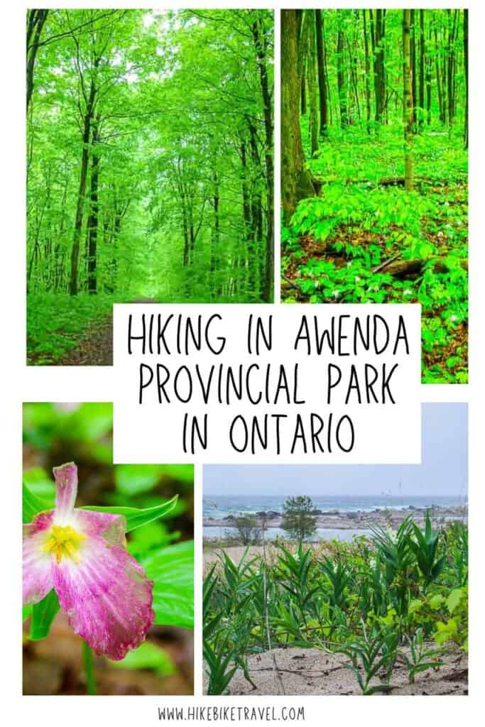 Hiking in Awenda Provincial Park near Penetanguishene, Ontario