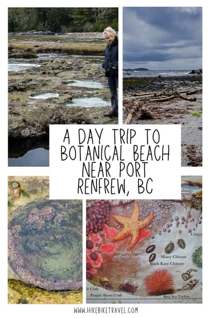 A day trip to Botanical Beach near Port Renfrew, BC is a fascinating year-round outing