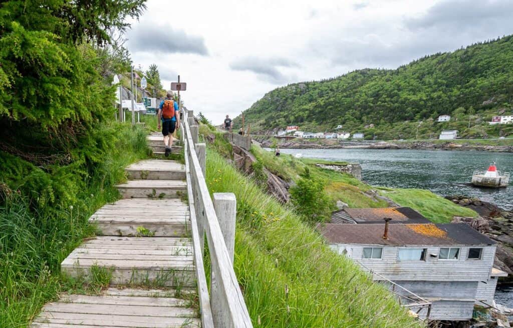 You must walk through The Narrows neighbourhood to reach the official trailhead for the North Head Trail