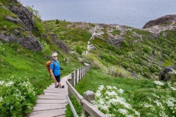 Spectacular views on the North Coast Trail