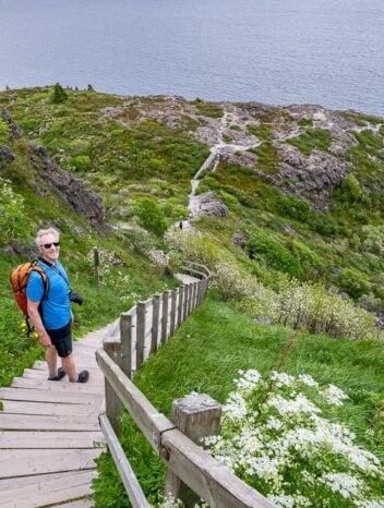 Spectacular views on the North Coast Trail
