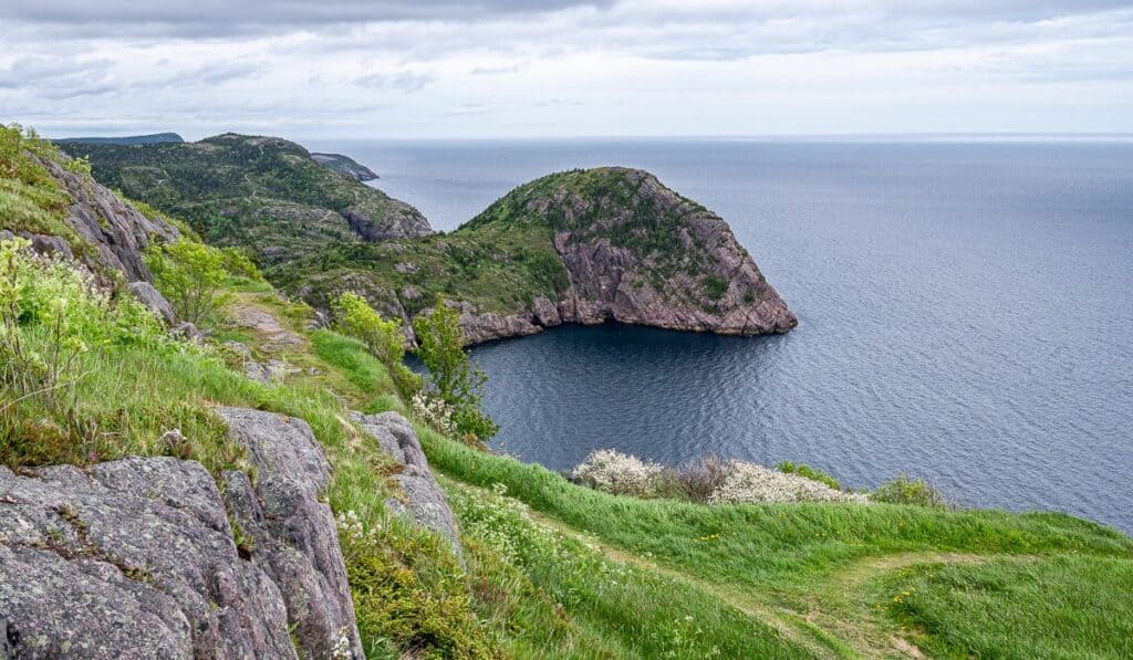 View from the top over to the Sugarloaf Trail - part of the famous East Coast Trail