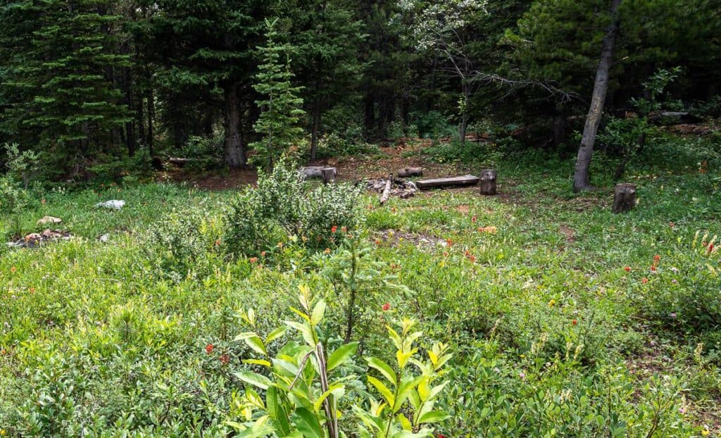 We passed a couple or rough campsites on the way up to Carnarvon Lake