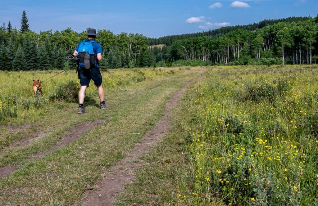 The first 2.6 km is flat easy walking with lots of wildflowers in late July