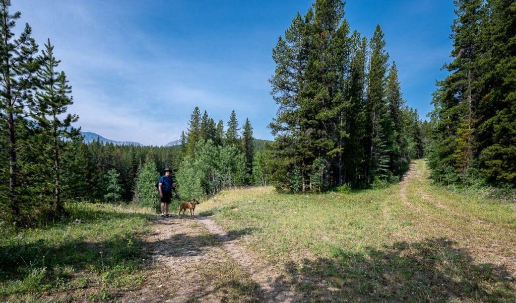 Stay left at the first junction; we still had our water shoes on as there is one more easy crossing coming up