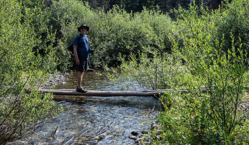 Wade or walk the logs across McPhail Creek