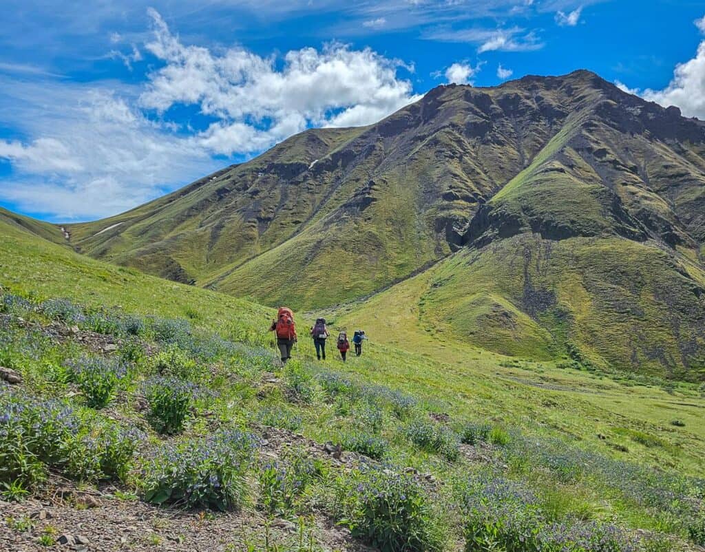 Moving away from the grizzly bears to a point where we can safely watch them from a distance