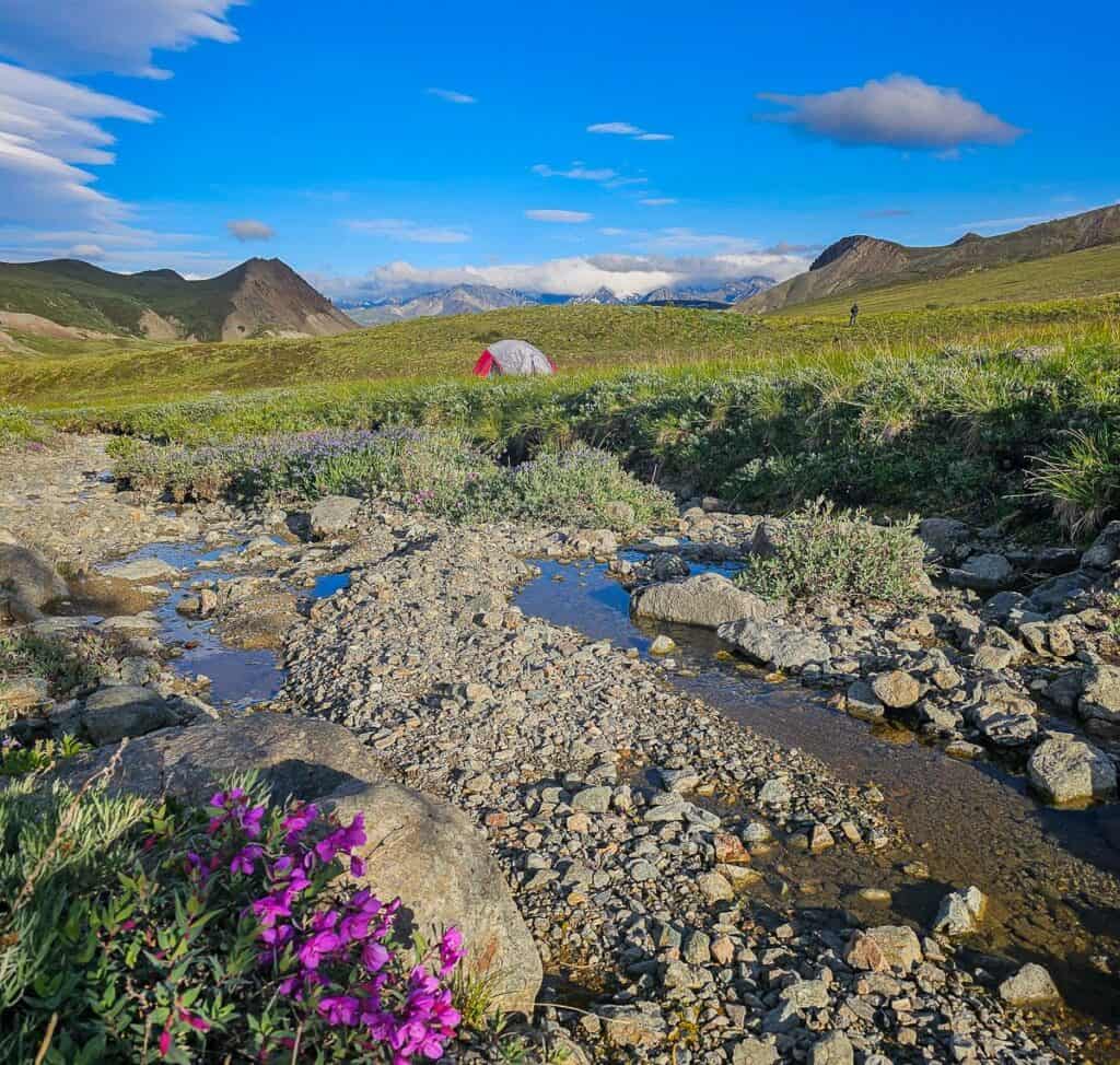 A beautiful campsite on our last night out backpacking in Kluane National Park