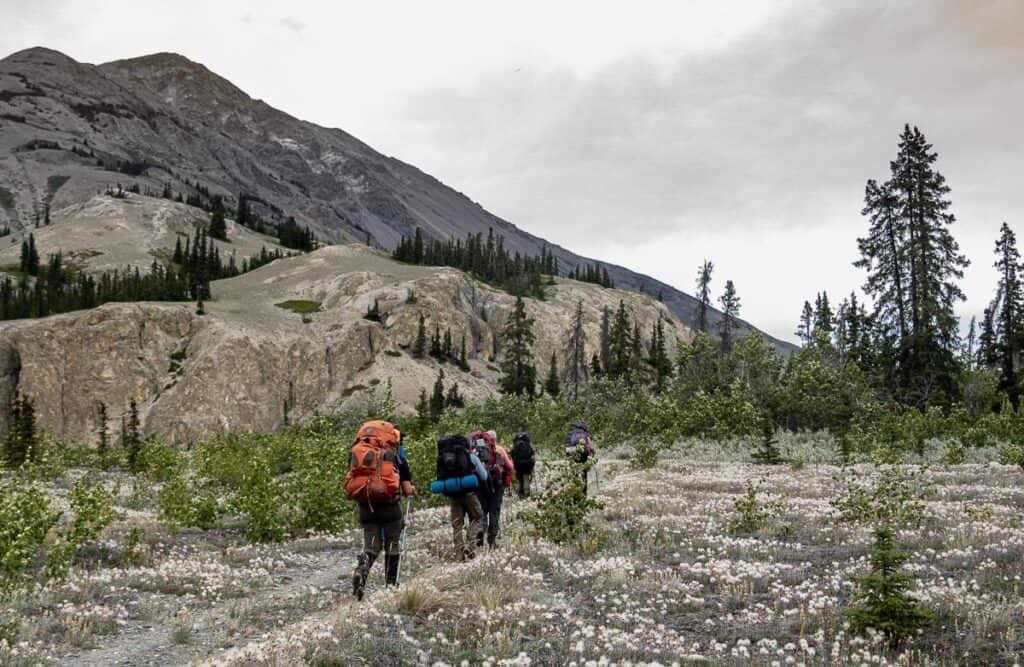 I got hit with a mess of no-see-um bug bites on the final 2 km backpacking in Kluane National Park - why here I don't know