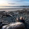 Irony Creek Campsite - the perfect place to watch the sun go down on the North Coast Trail