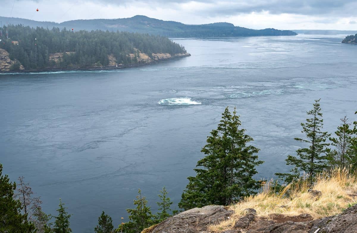 Looking at the crazy currents around Ripple Rock