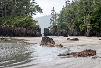 The sea stacks at San Josef Bay