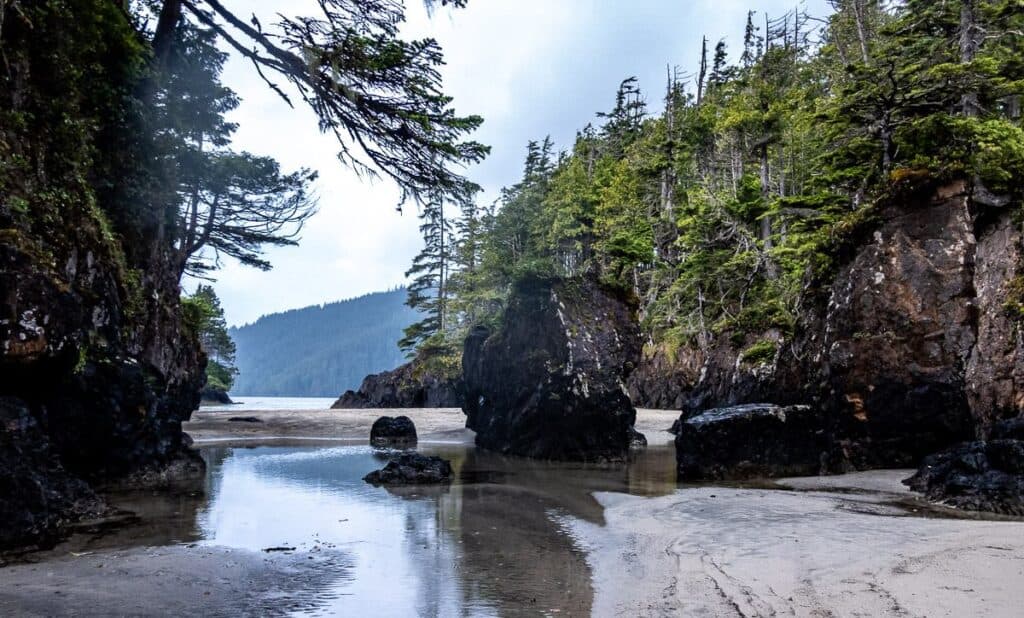 The area around the sea stacks in St. Joseph Bay is magical. 