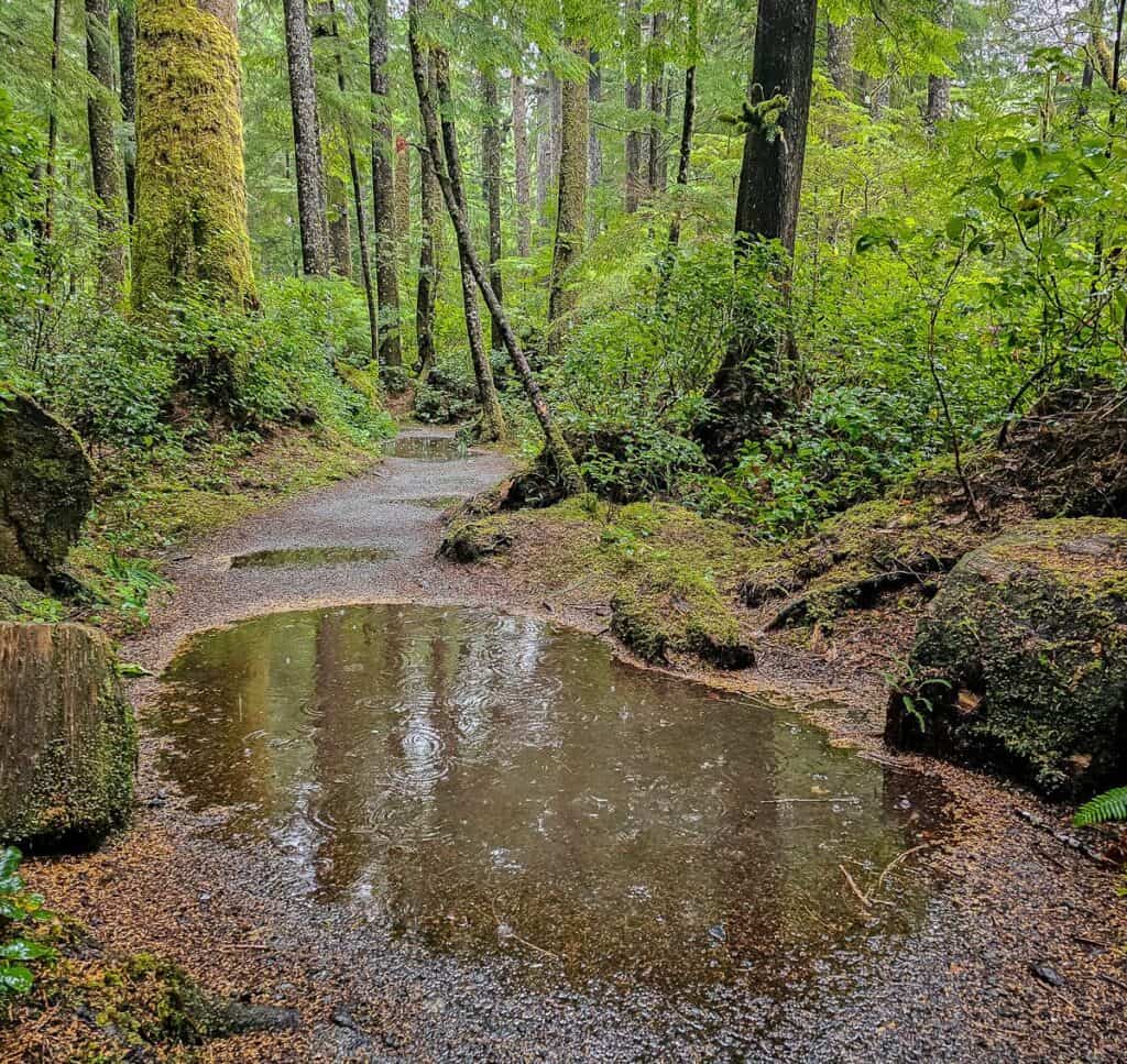 It's hard to stay dry with big puddles like this.