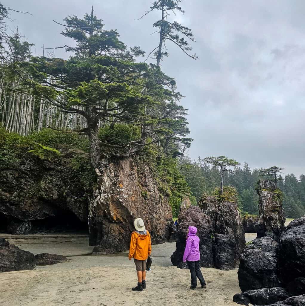 산호세프 베이(San Josef Bay)의 멋진 바다 더미로 가득한 풍경