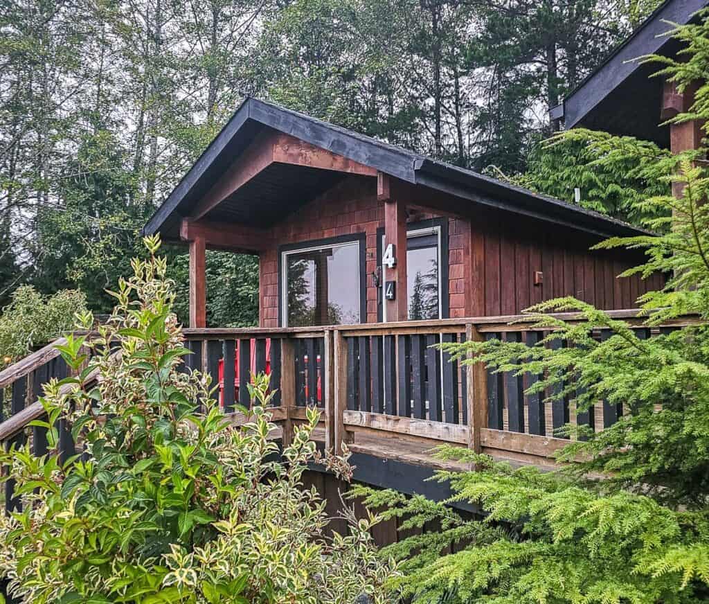 Our Ecoscape cabin in Port Hardy