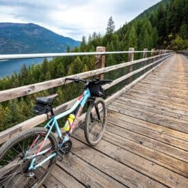 One of the trestles on the Columbia and Western Rail trail