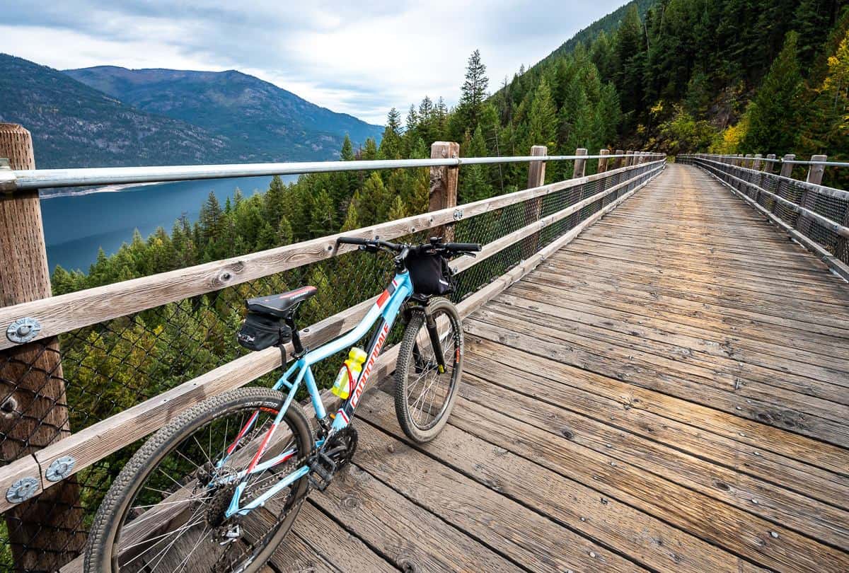 One of the trestles on the Columbia and Western Rail trail