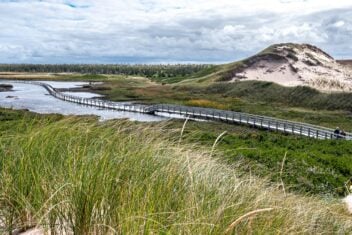 The floating boardwalk on the way to Greenwich Beach in PEI