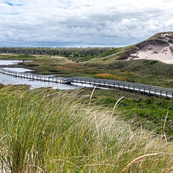 The floating boardwalk on the way to Greenwich Beach in PEI