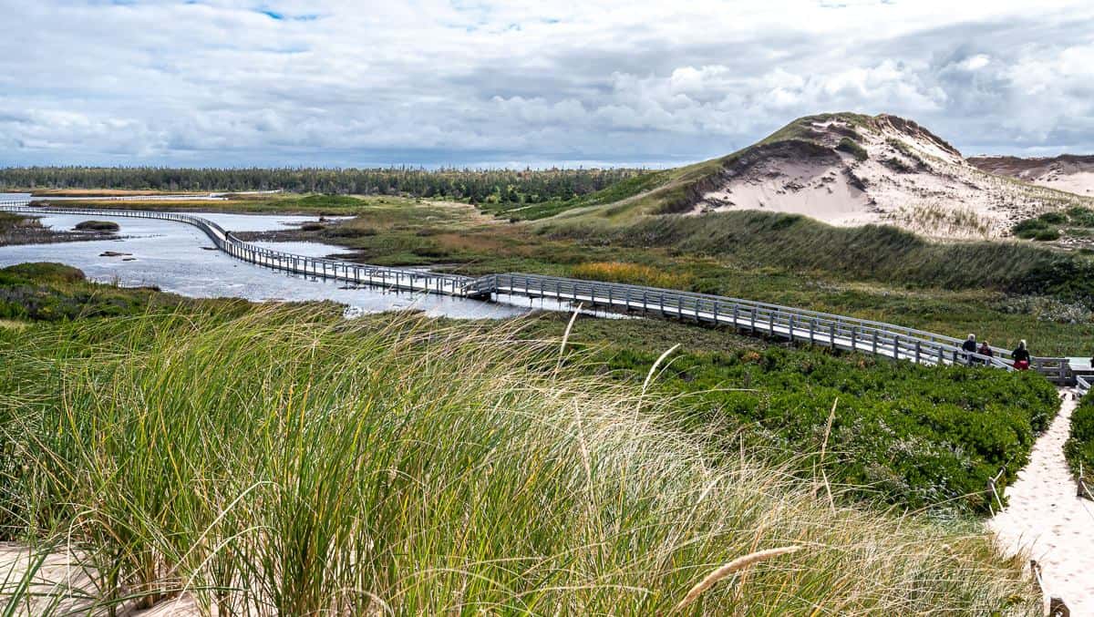 The floating boardwalk on the way to Greenwich Beach in PEI