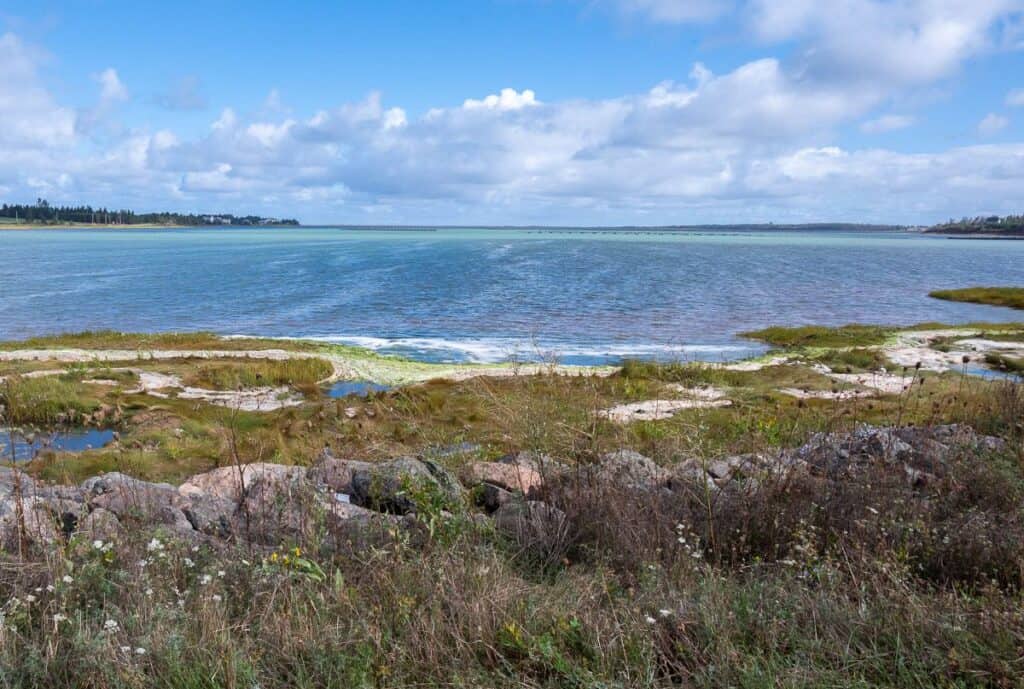 A view near the bridge over the Wheatley River
