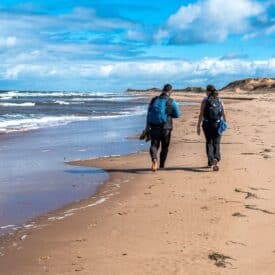 A long stretch of beach walking from Brackley Beach to Dalvay by the Sea