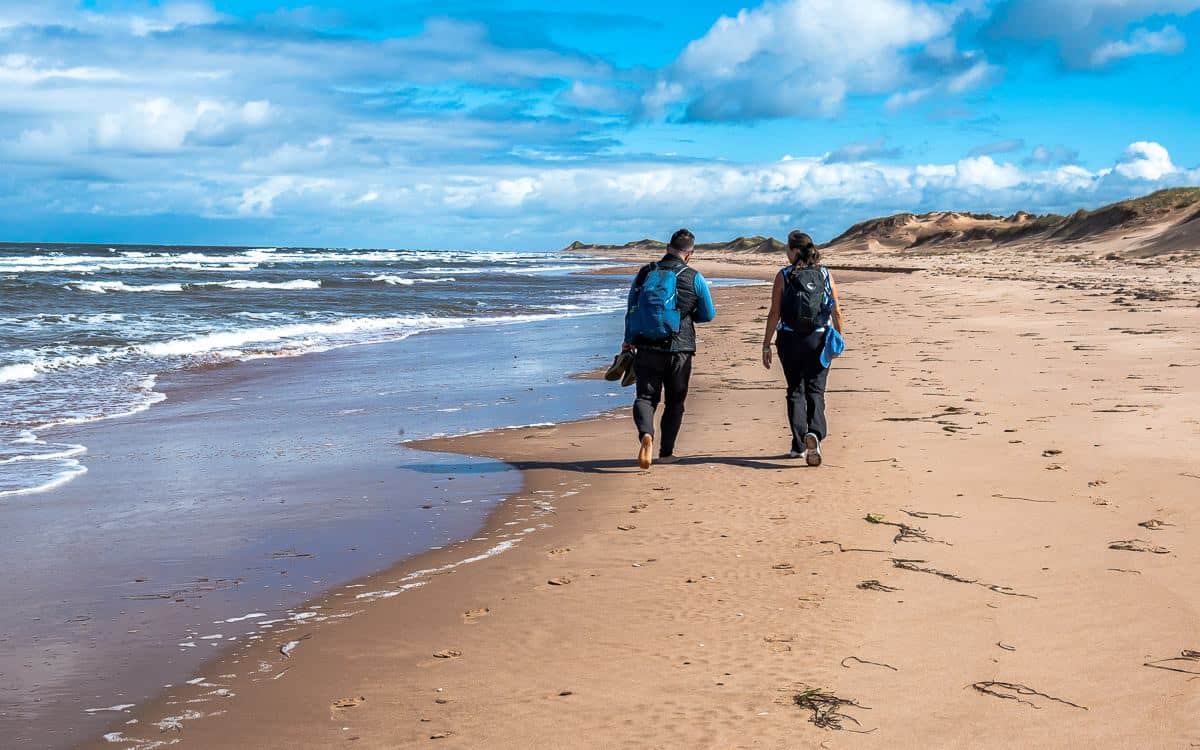 A long stretch of beach walking from Brackley Beach to Dalvay by the Sea