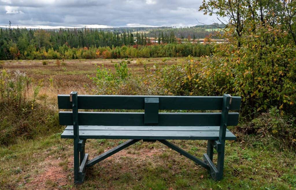 Benches in scenic locations with the Hillsborough River in the distance