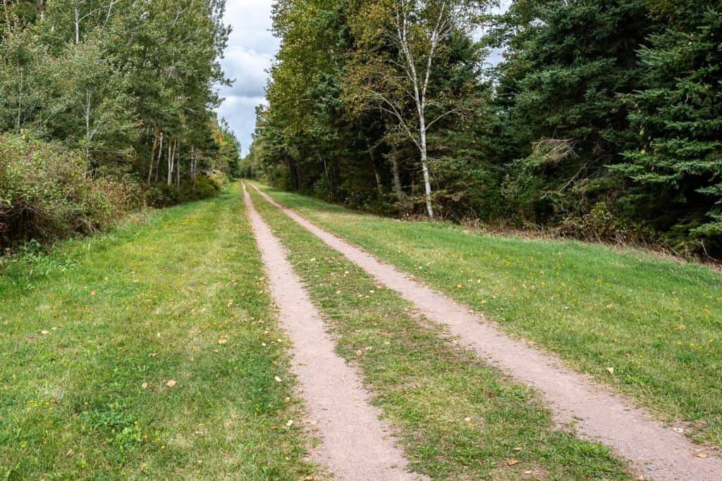 An arrow straight and dead flat section on the Confederation Trail