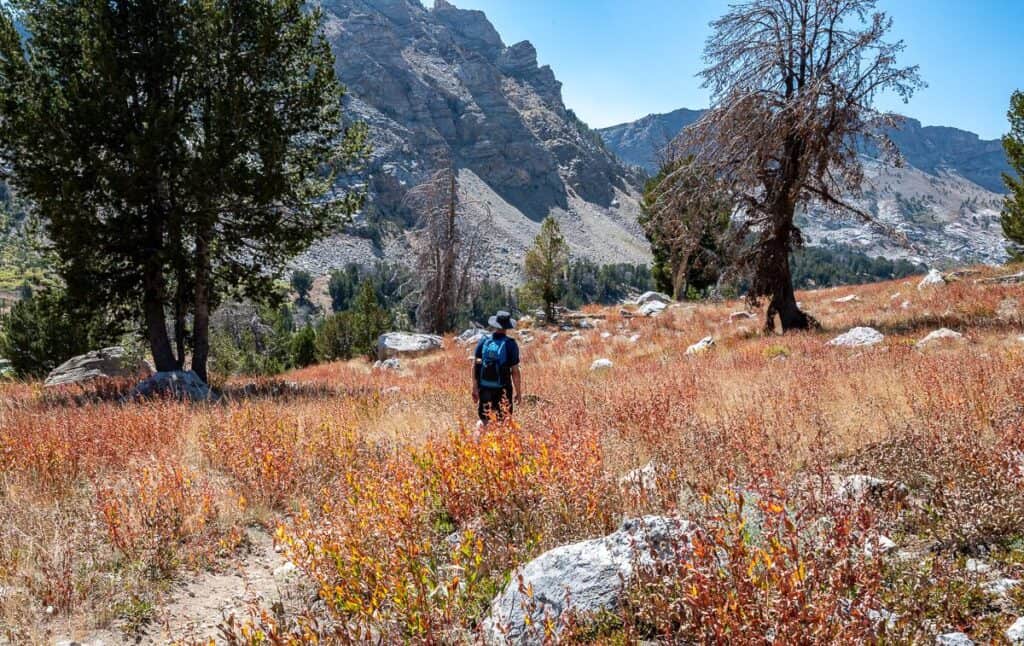 Hiking in Nevada - the trail from Liberty Lake to Favre Lake 