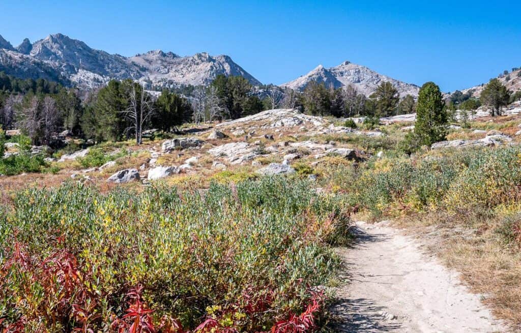 A pretty start right from the parking lot at the end of Lamoille Canyon Scenic Drive 