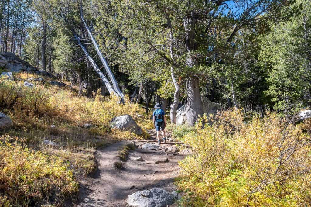 Beautiful hiking on easy to follow trails towards Dollar Lake