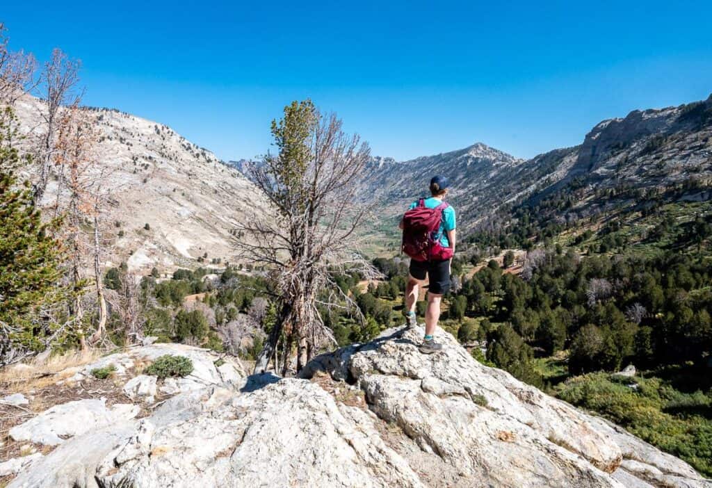 Hiking in Nevada to Dollar and Lamoille Lakes - one of the family-friendly trails near Elko