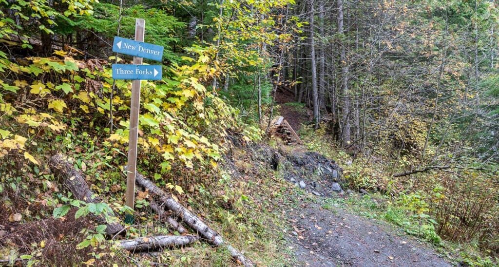 Some signs on Galena Road