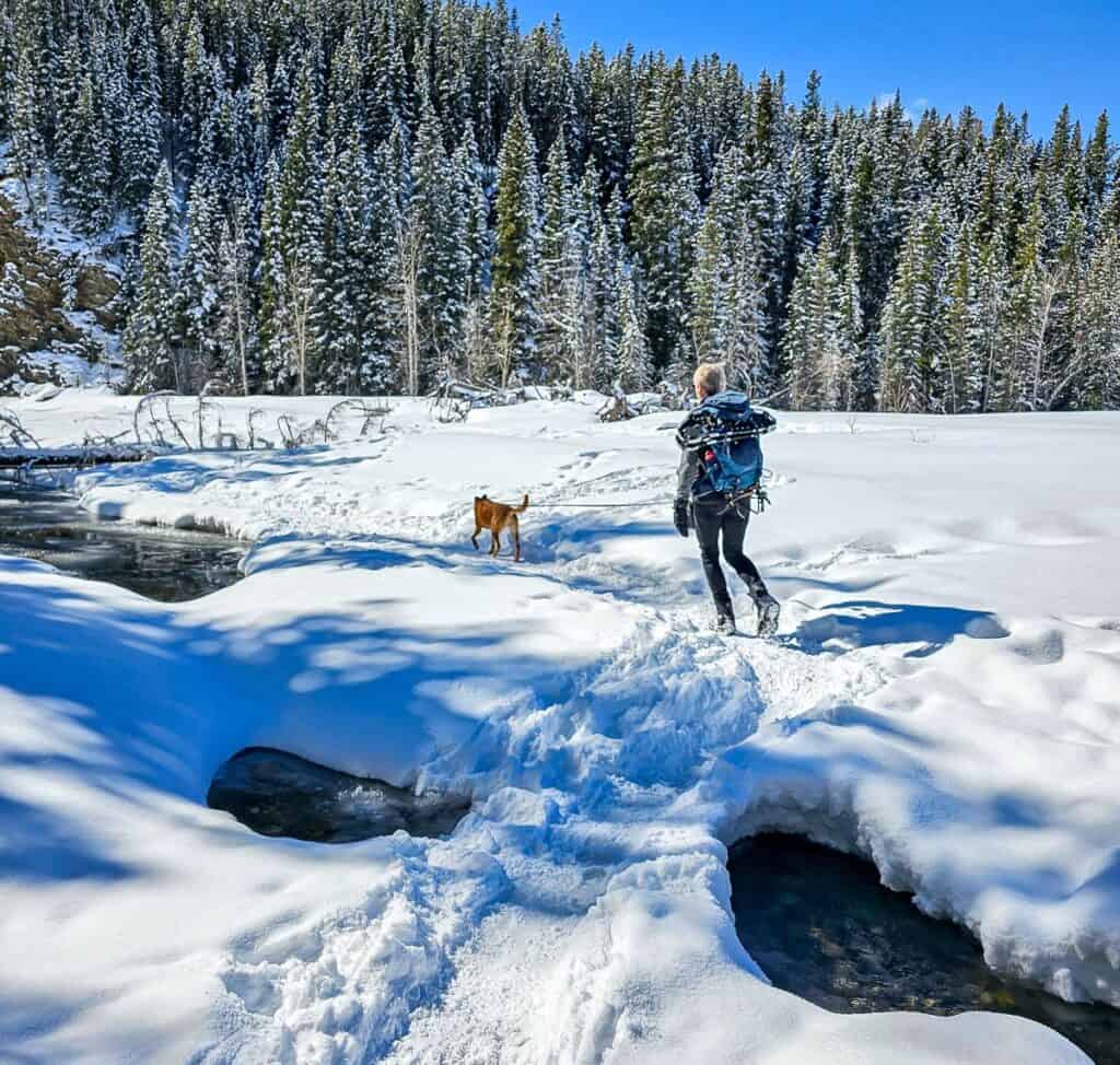 Snow bridges across the open water of Evan - Thomas Creek