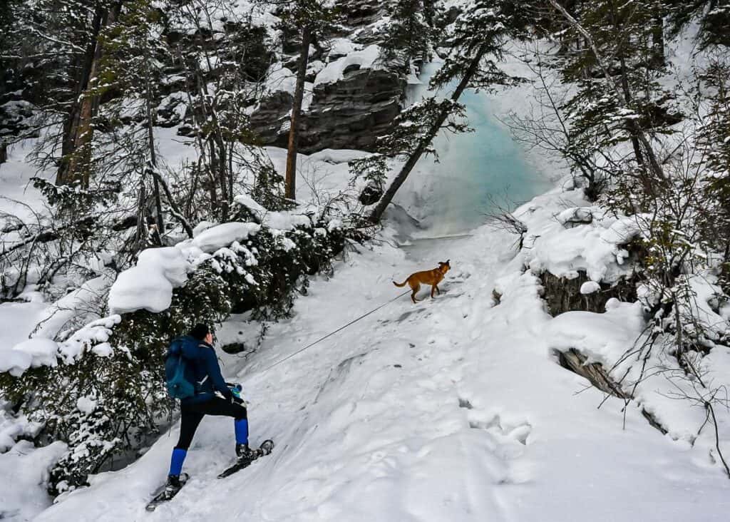 Chantilly Falls - about a kilometre in from the flats and picnic area