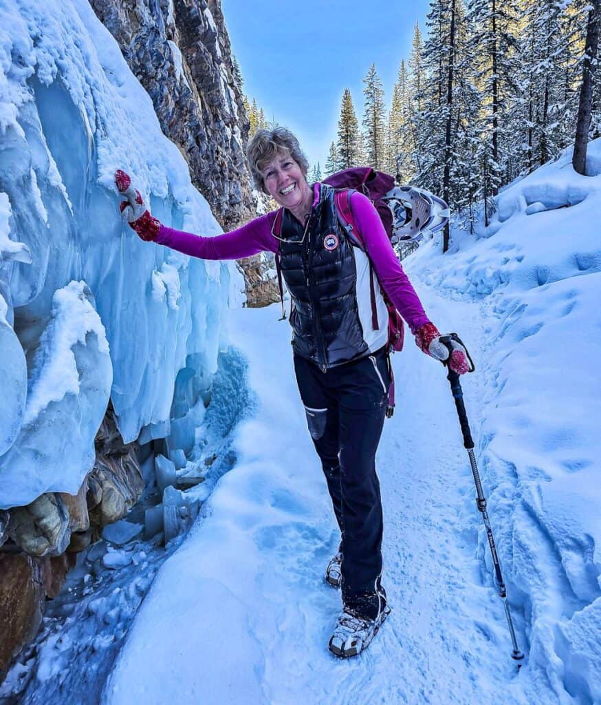 Stopping to admire the ice