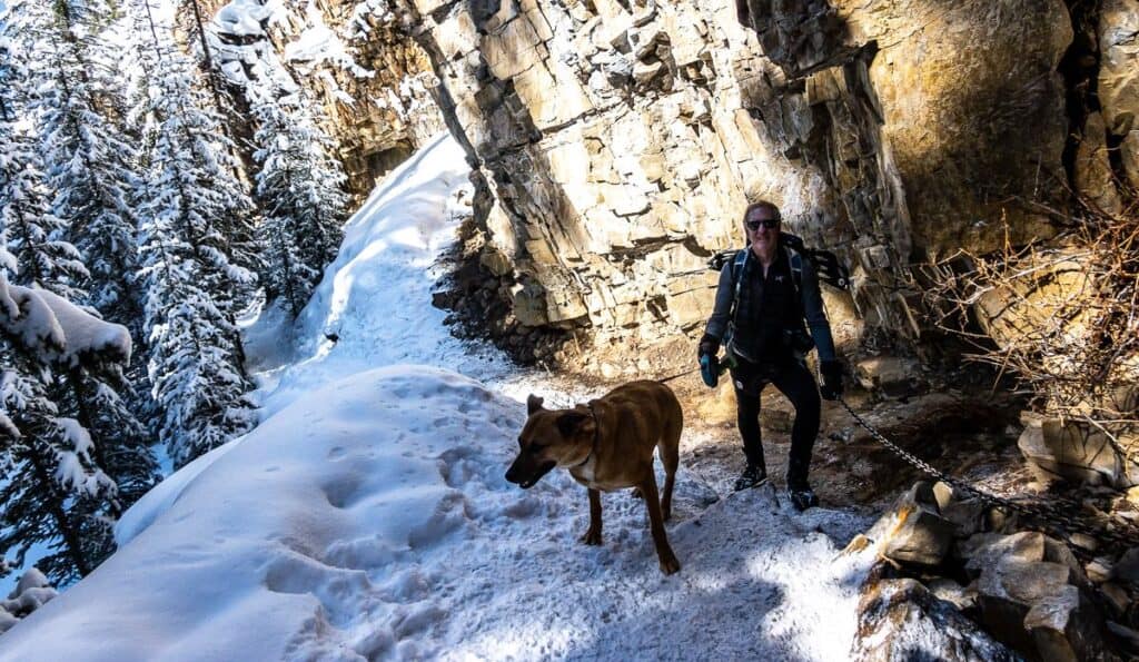 It was a bit trickier on the Green Monster winter hike with our dog but doable, especially with chains to hold onto